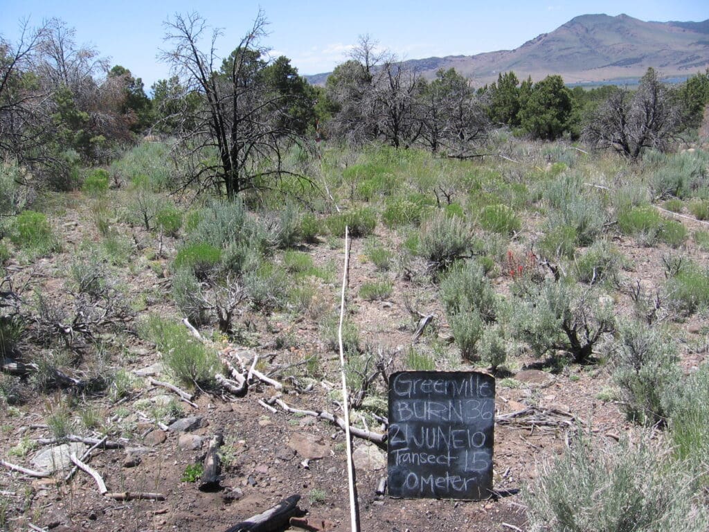 2010: 3 years post-treatment