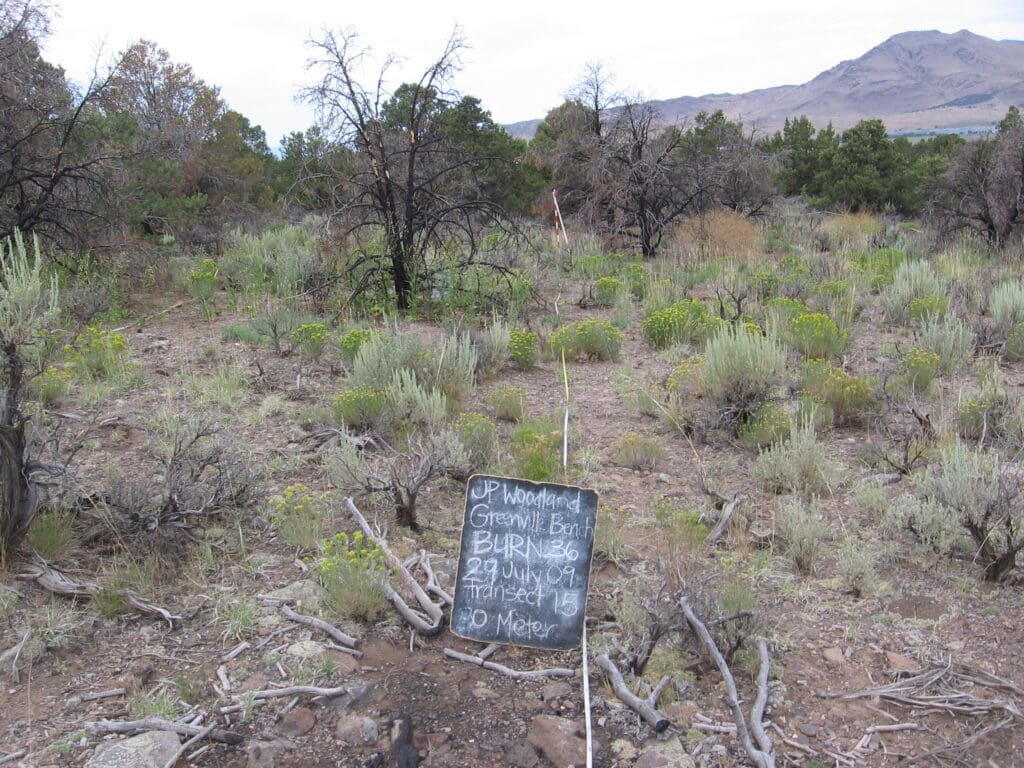 2009: 2 years post-treatment 