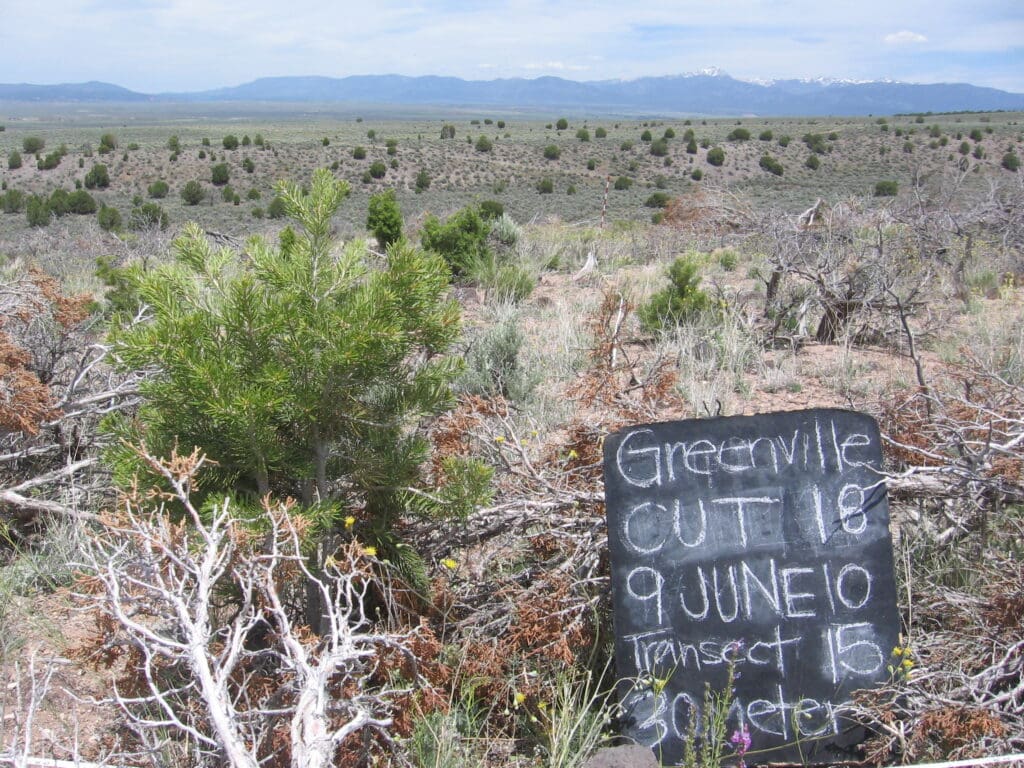 2010: 3 years post-treatment