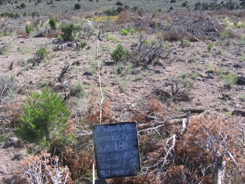 2009: 2 years post-treatment