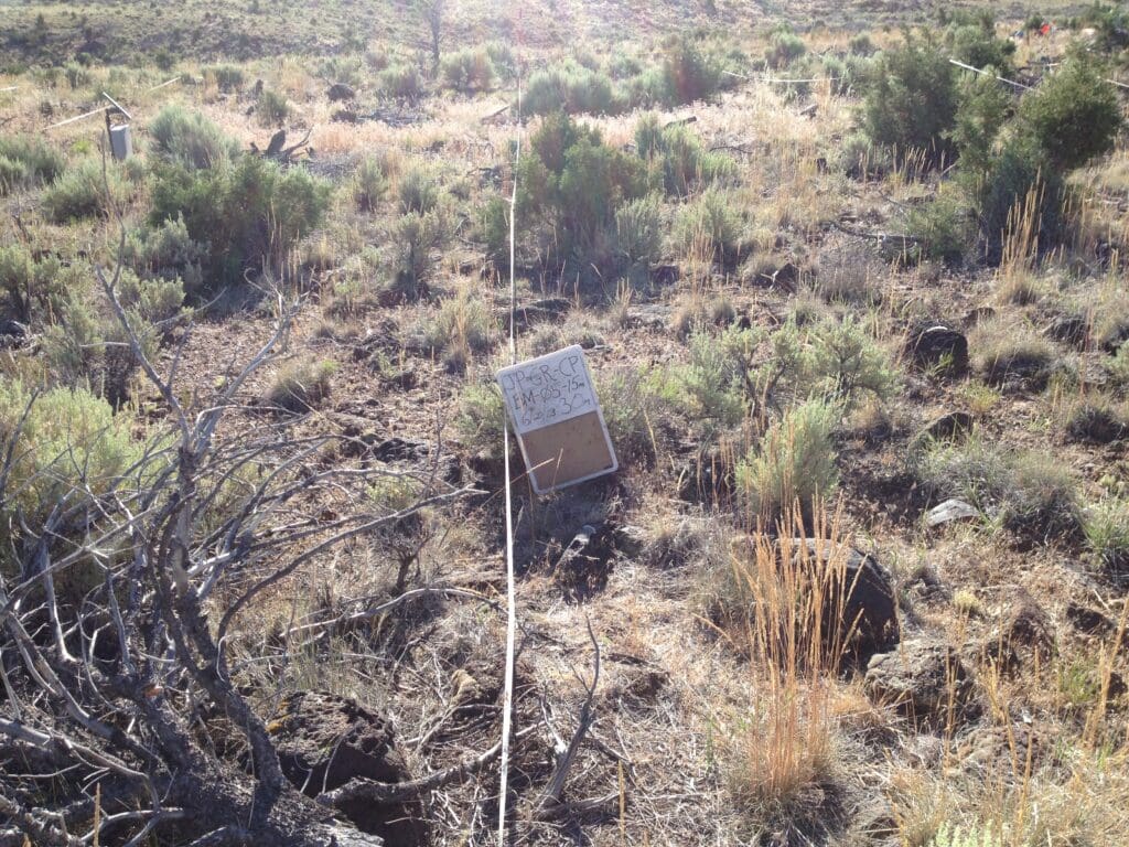 2013: 6 years post-treatment