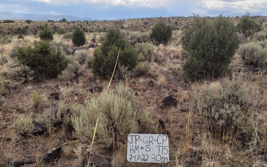 2022: 15 years post-treatment 