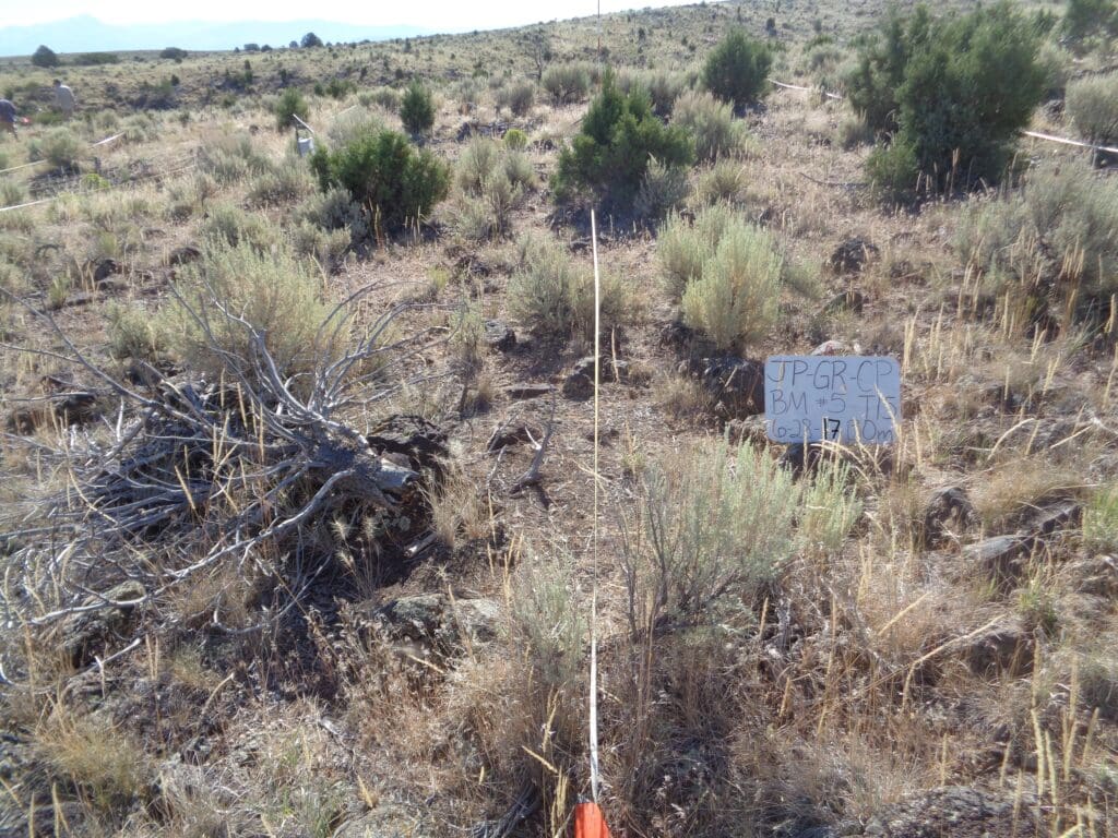 2017: 10 years post-treatment