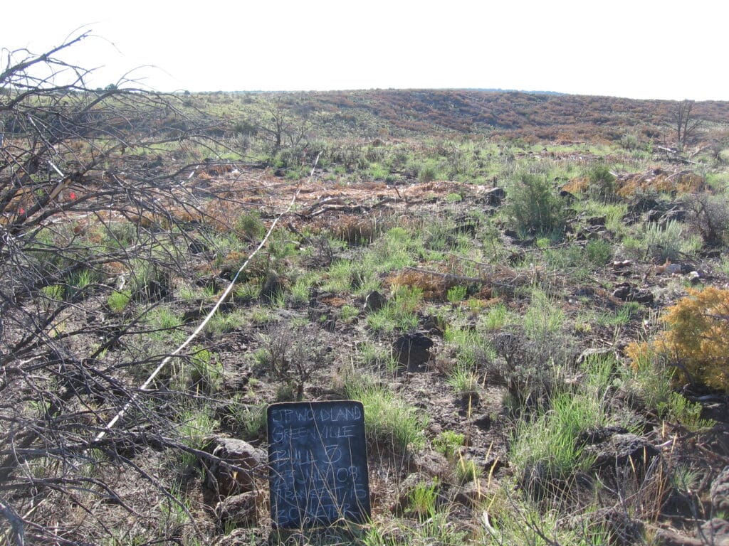 2008: 1 year post-treatment