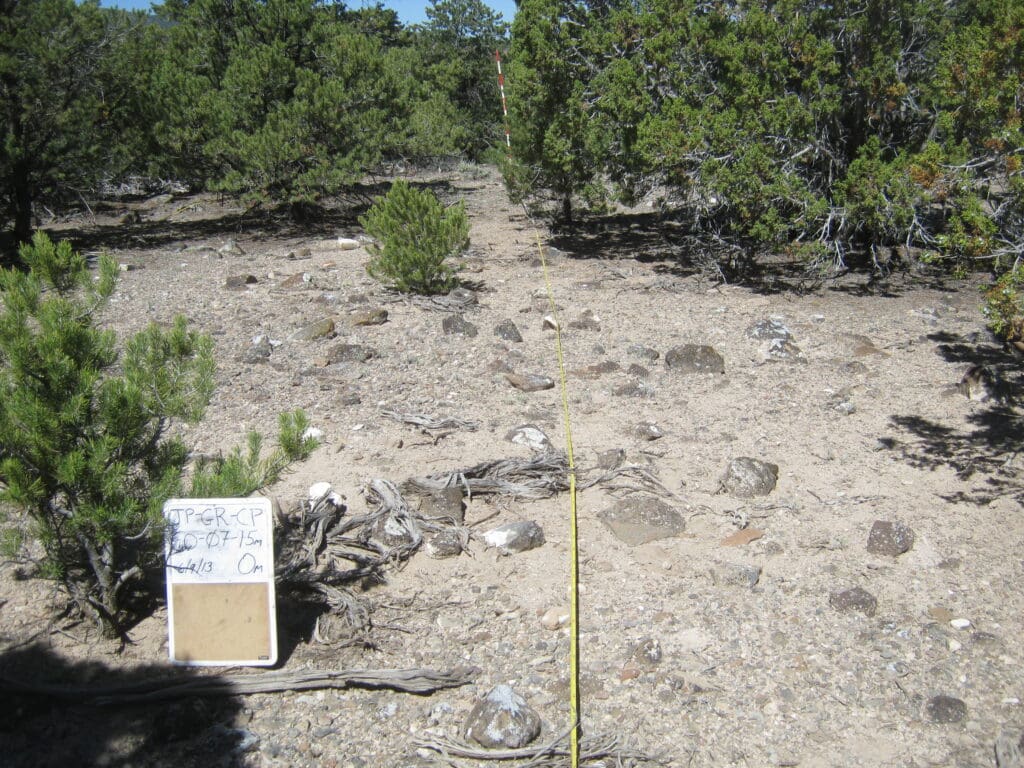 2013: 6 years post-treatment