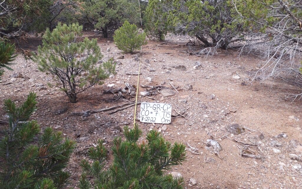 2022: 15 years post-treatment