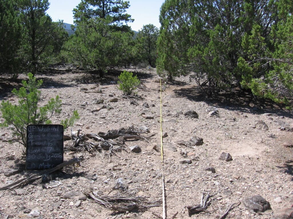 2008: 1 year post-treatment