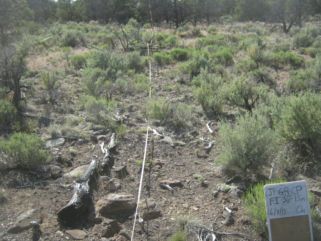 2013: 6 years post-treatment