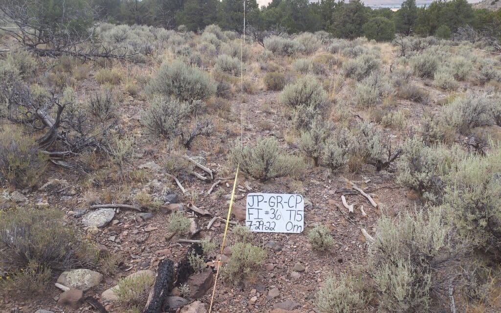 2022: 15 years post-treatment