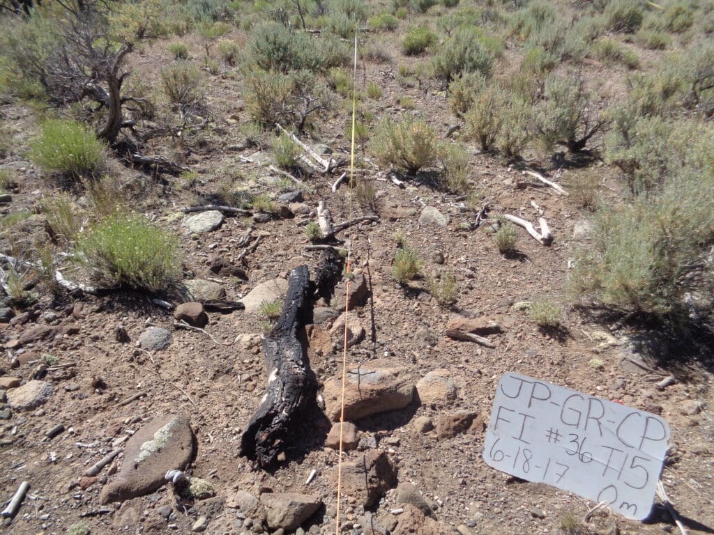 2017: 10 years post-treatment