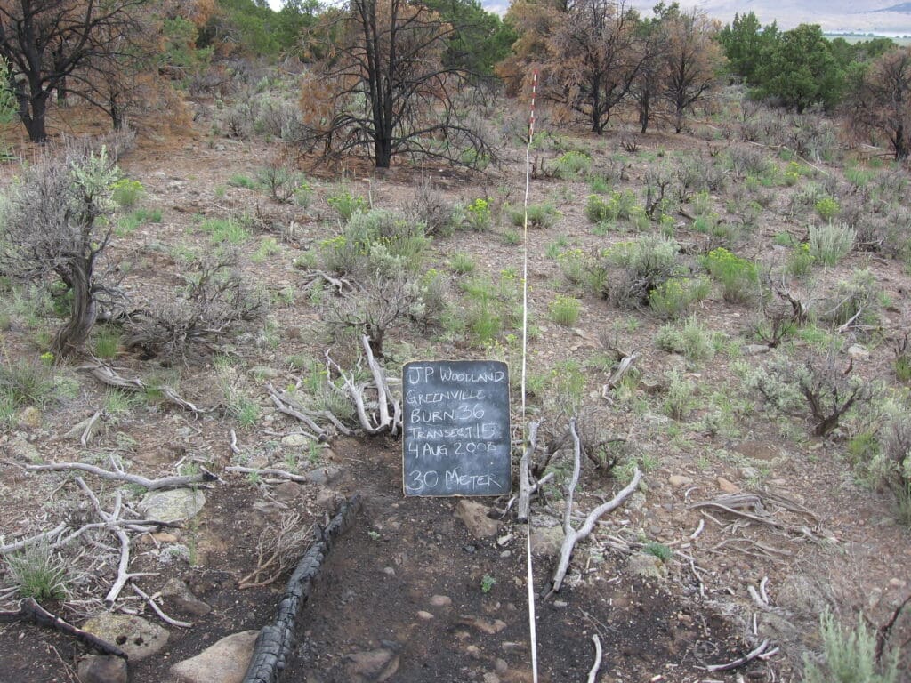 2008: 1 year post-treatment