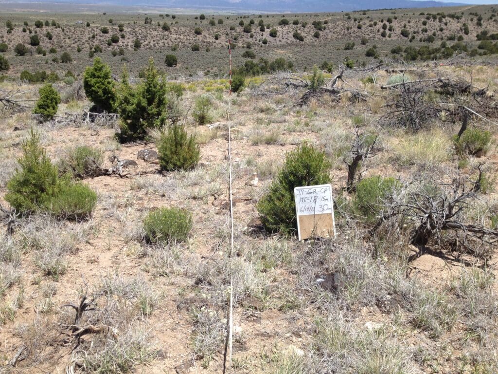 2013: 6 years post-treatment