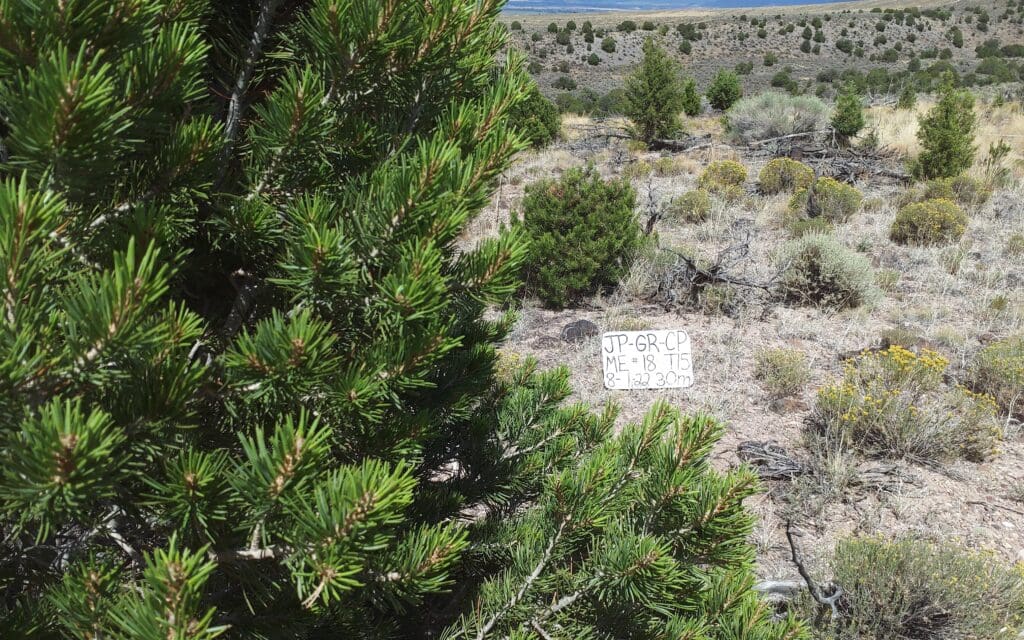 2022: 15 years post-treatment