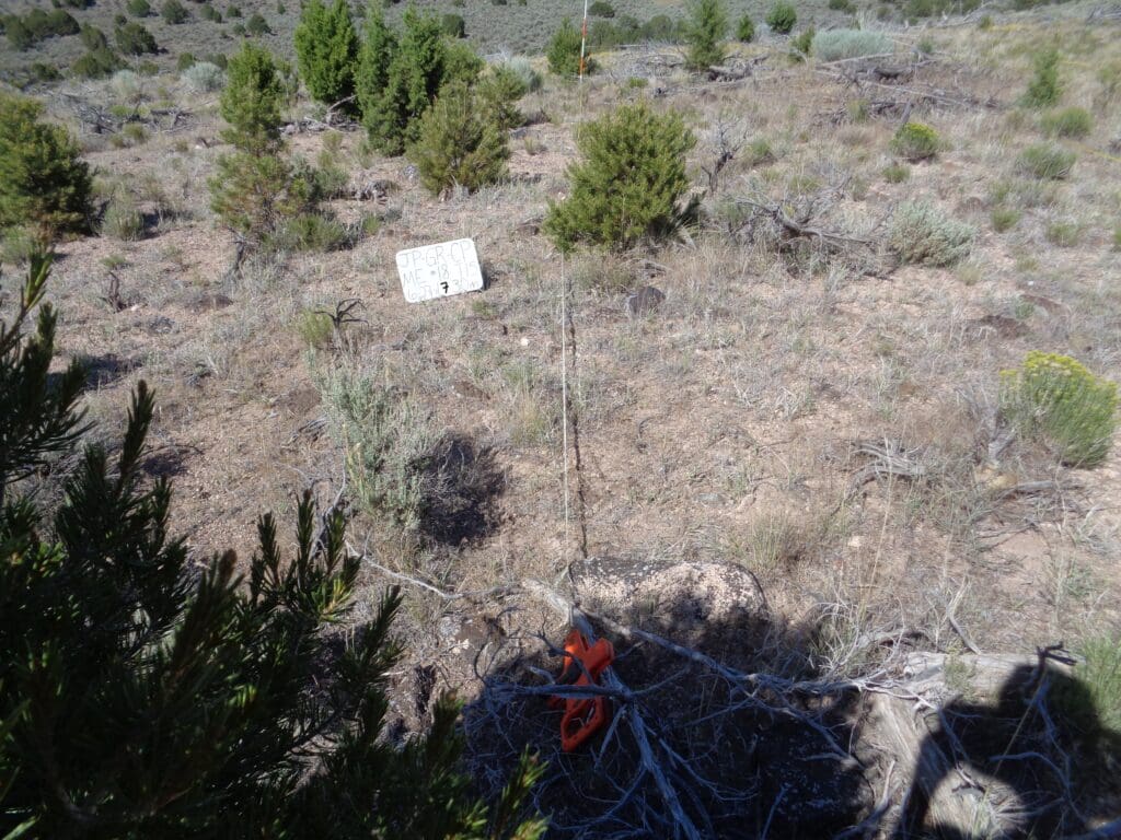 2017: 10 years post-treatment