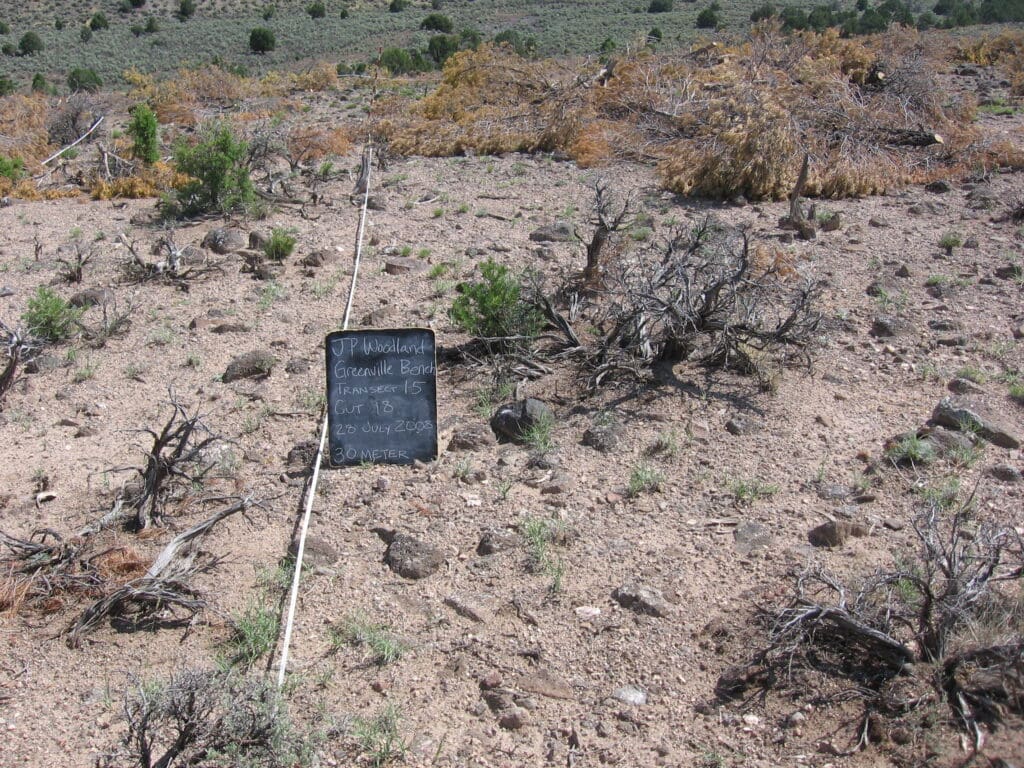 2008: 1 year post-treatment