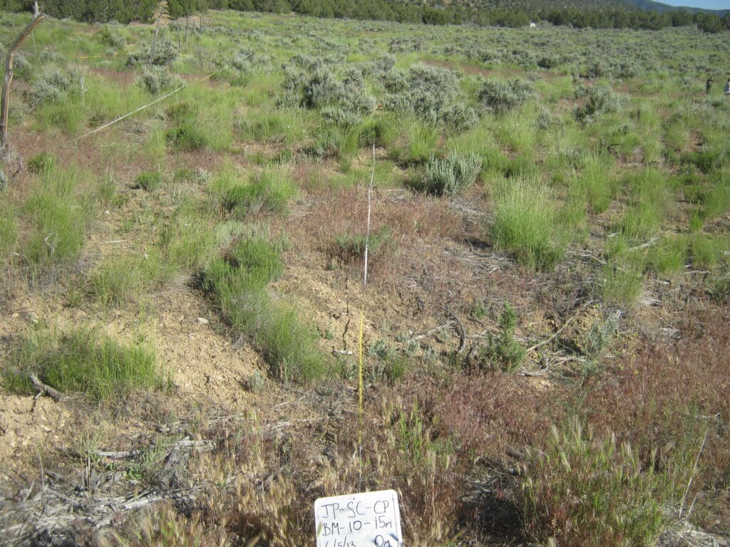 2013: 6 years post-treatment