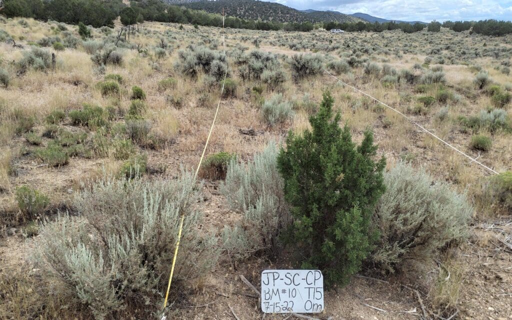 2022: 15 years post-treatment