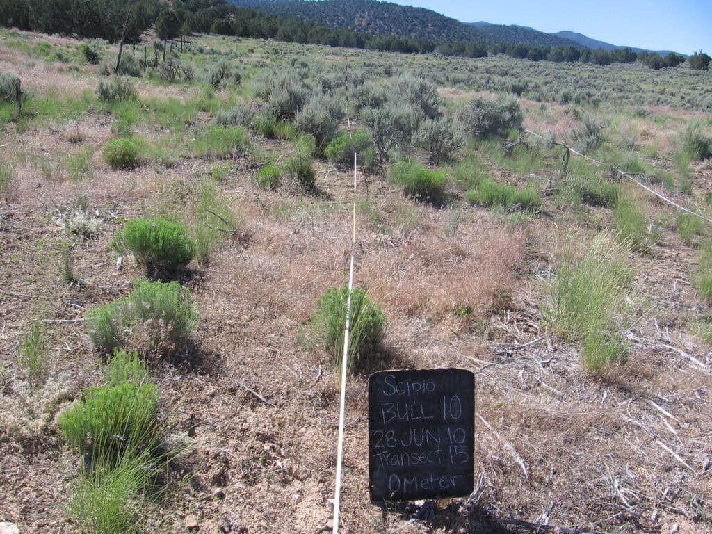 2010: 3 years post-treatment