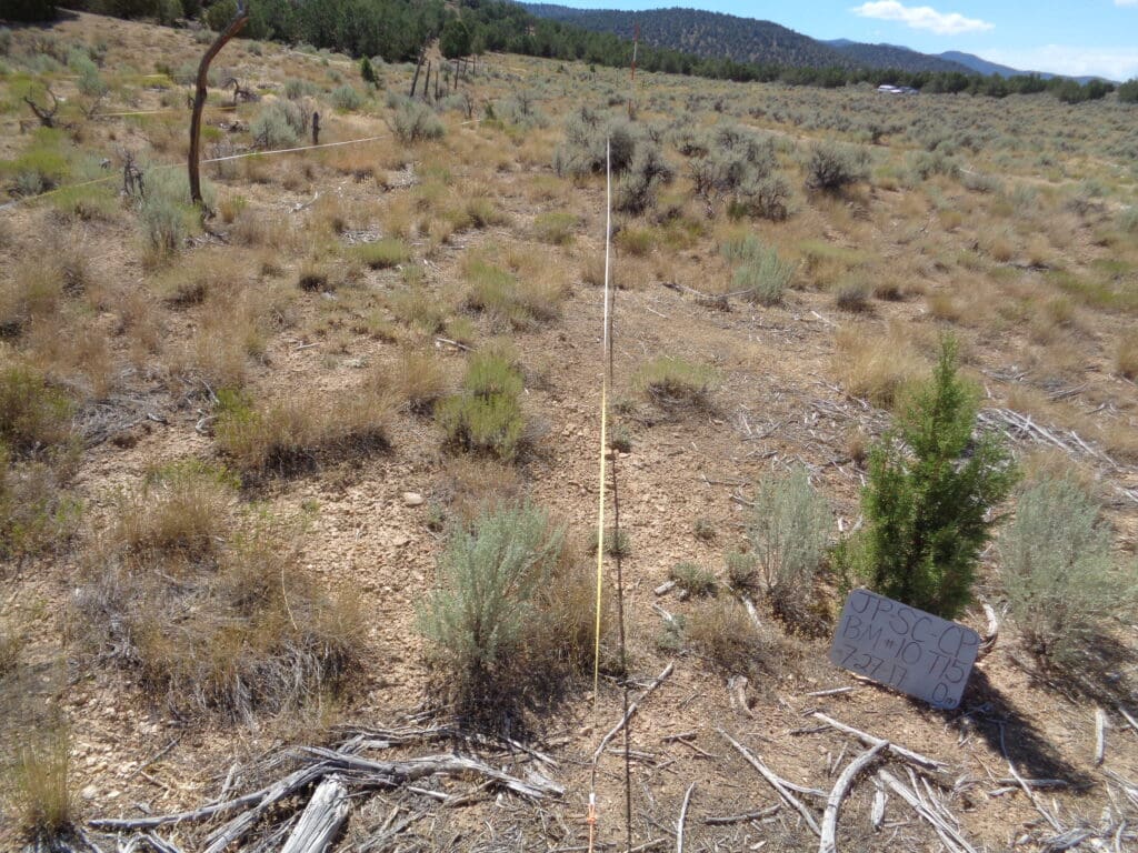 2017: 10 years post-treatment