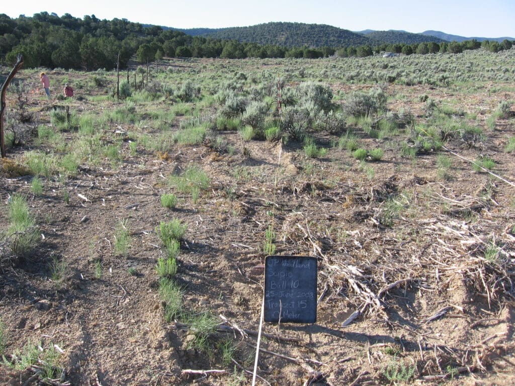 2008: 1 year post-treatment