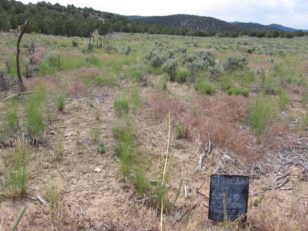 2009: 2 years post-treatment