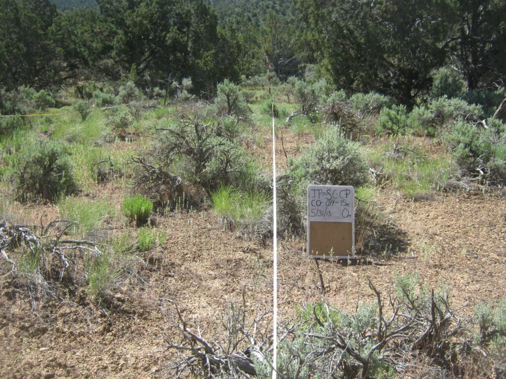 2013: 6 years post-treatment 