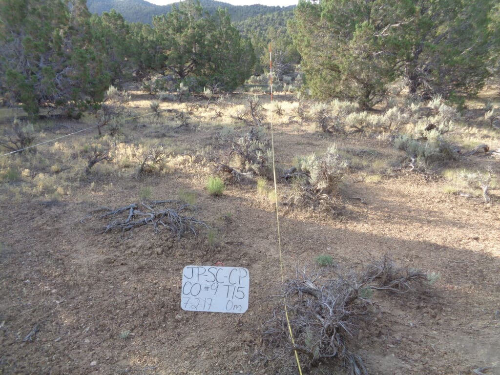 2017: 10 years post-treatment 