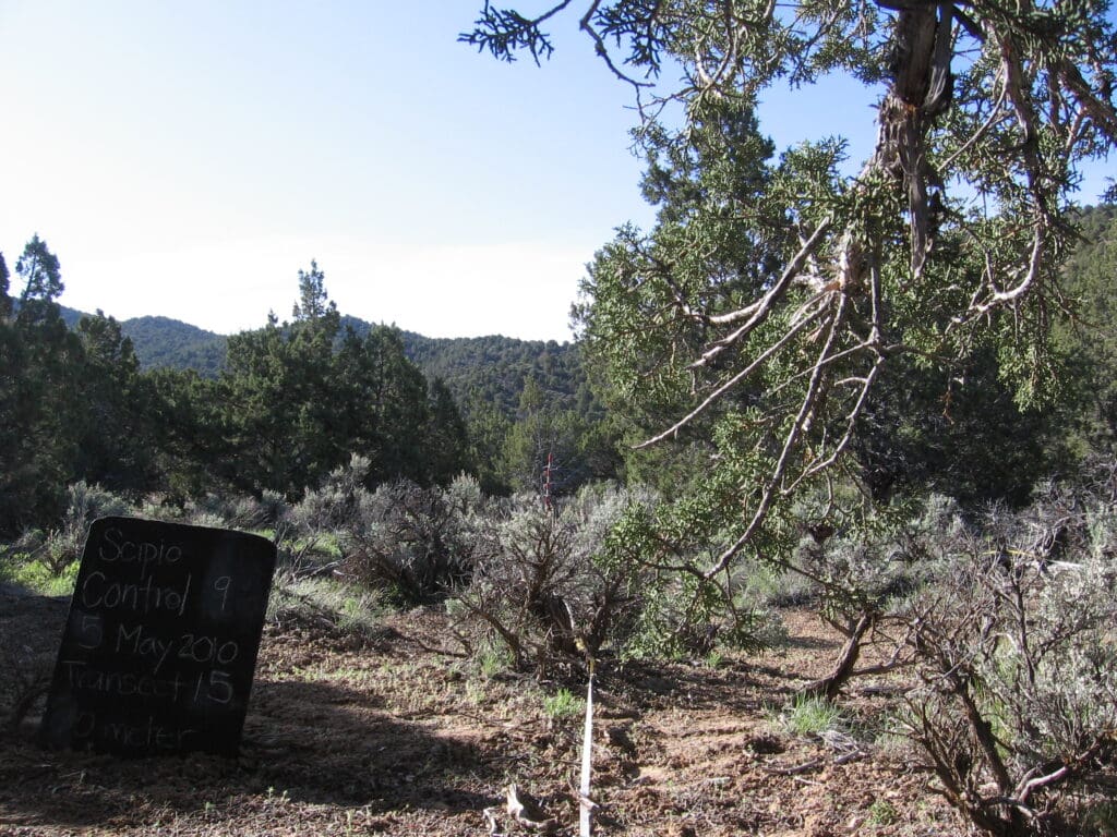 2010: 3 years post-treatment