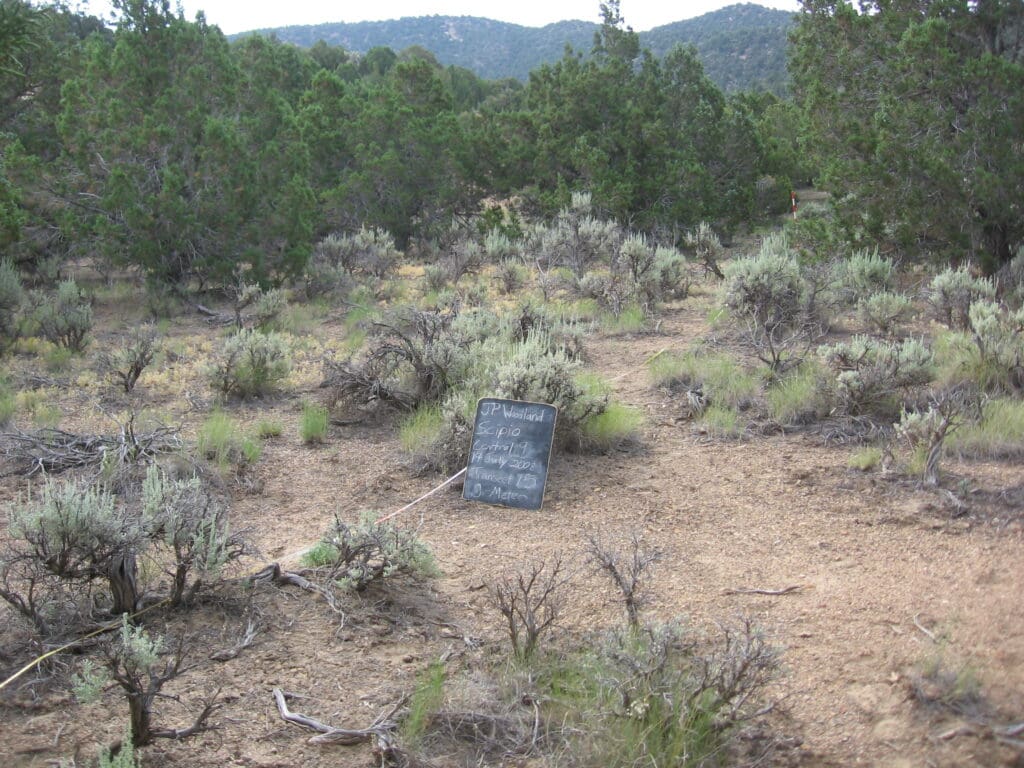 2008: 1 year post-treatment