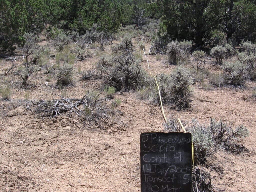 2009: 2 years post-treatment