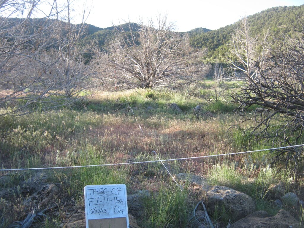 2013: 6 years post-treatment