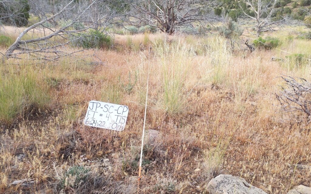 2022: 15 years post-treatment