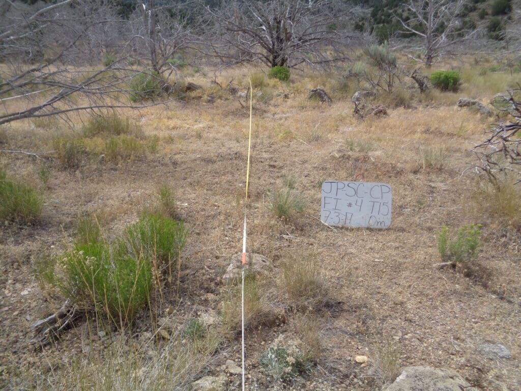 2017: 10 years post-treatment