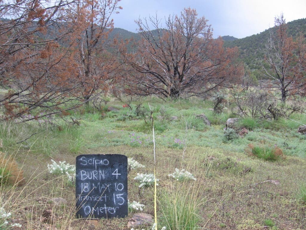 2010: 3 years post-treatment 