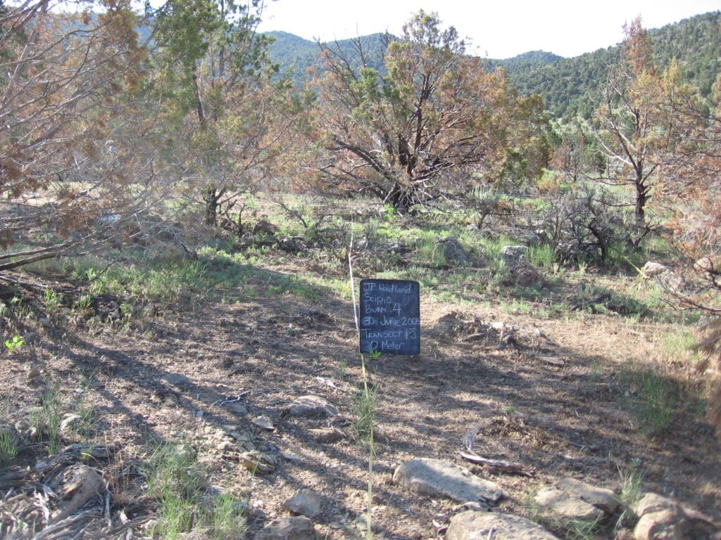 2008: 1 year post-treatment