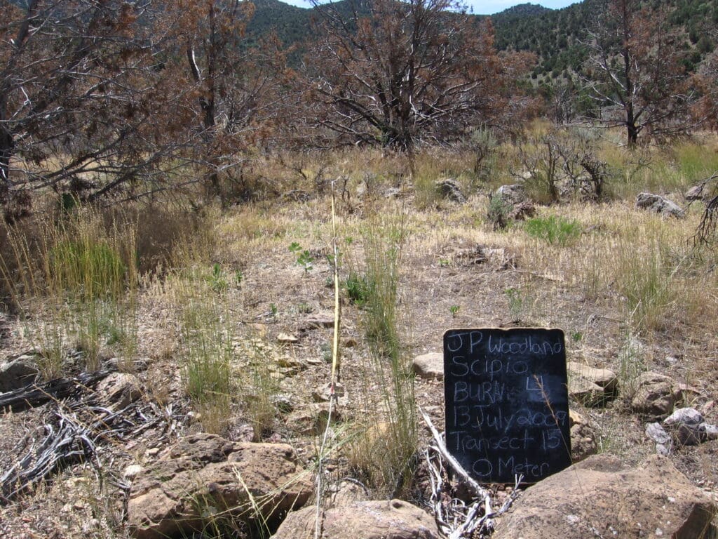 2009: 2 years post-treatment