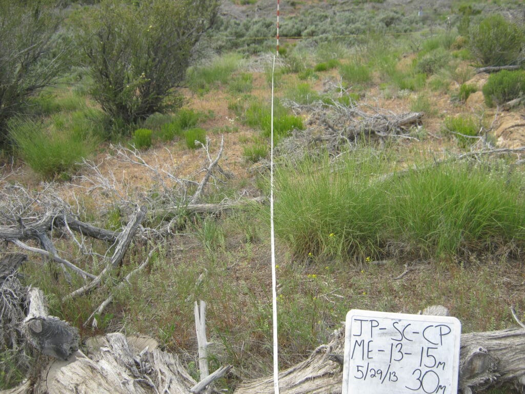 2013: 6 years post-treatment