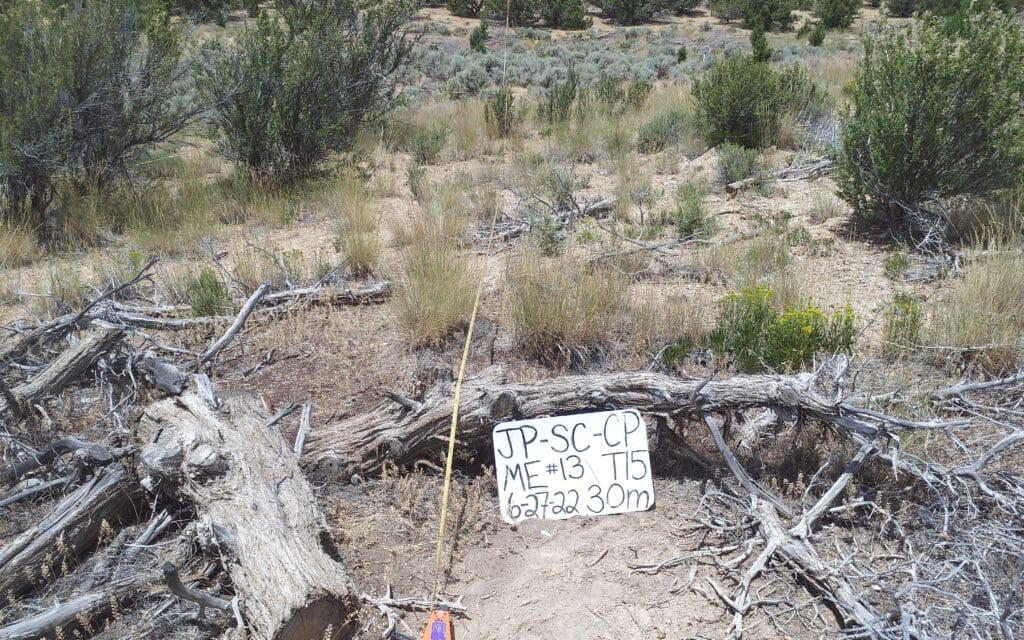 2022: 15 years post-treatment