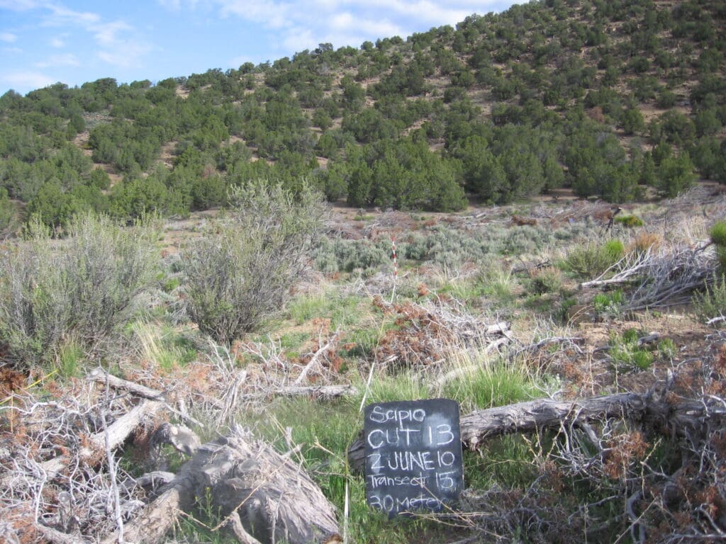 2010: 3 years post-treatment