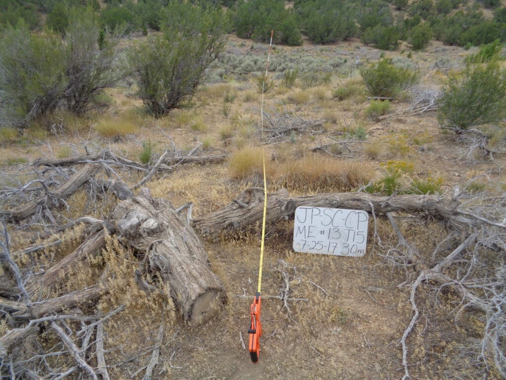 2017: 10 years post-treatment