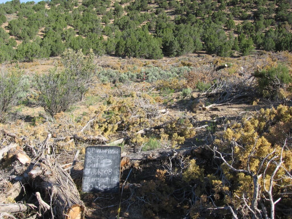 2008: 1 year post-treatment