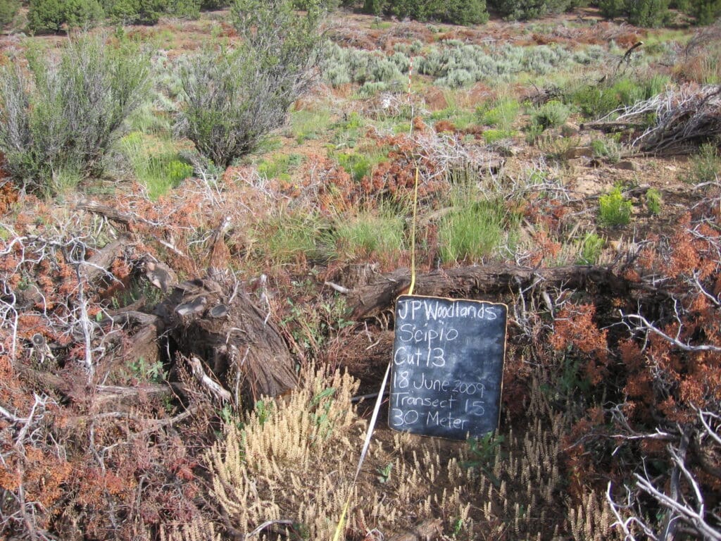 2009: 2 years post-treatment