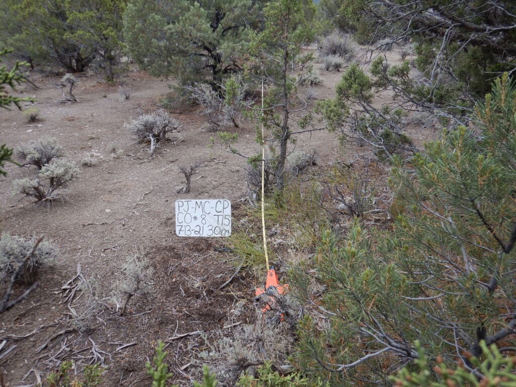 PJ_MC_CP_CO_08_30M_2021 2021: 15 years post-treatment