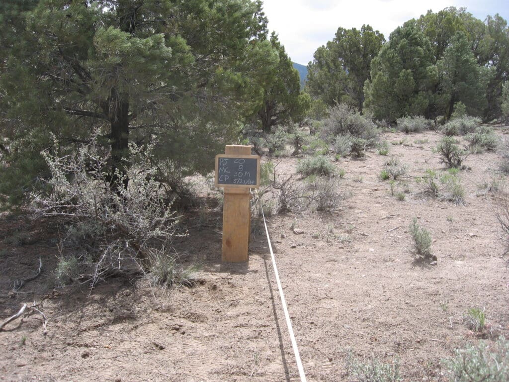 PJ_MC_CP_CO_08_T15_30M_08 2008: 2 years post-treatment