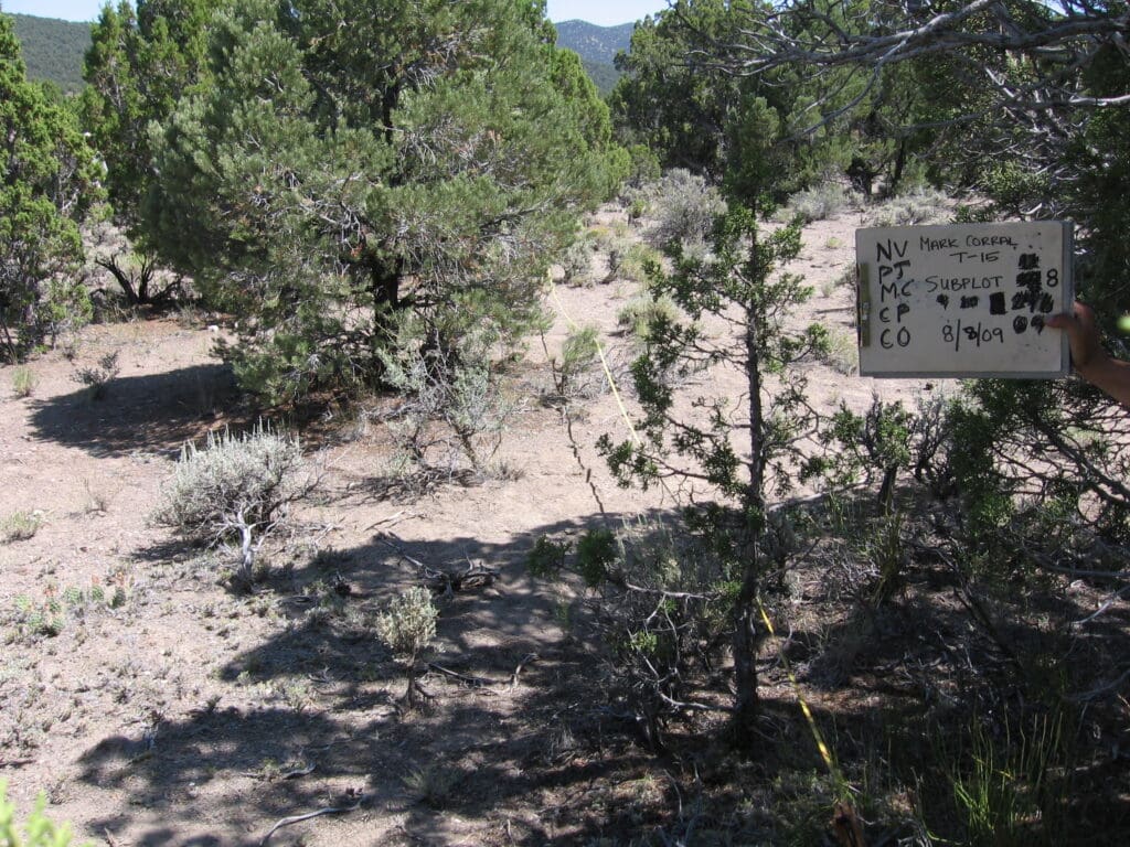 PJ_MC_CP_CO_08_T15_30M_9 2009: 3 years post-treatment