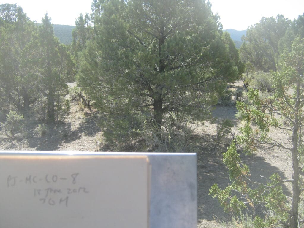 PJ_MC_CP_CO_8_T15_30M_12 2012: 6 years post-treatment