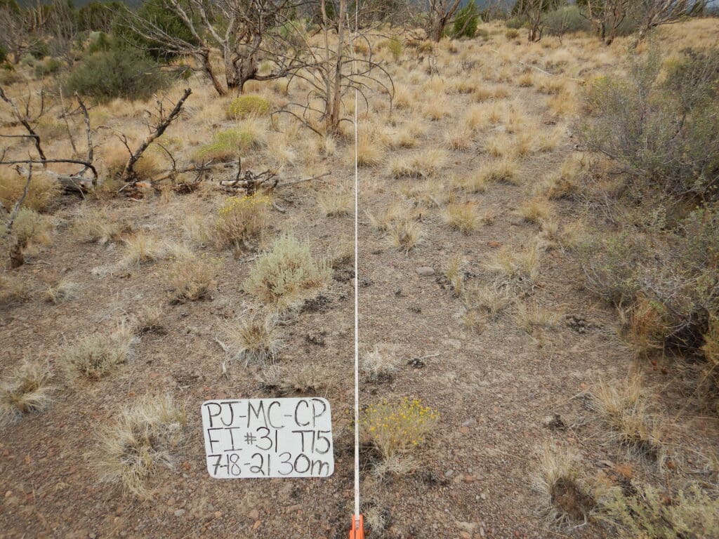 PJ_MC_CP_FI_31_30M_2021 2021: 15 years post-treatment