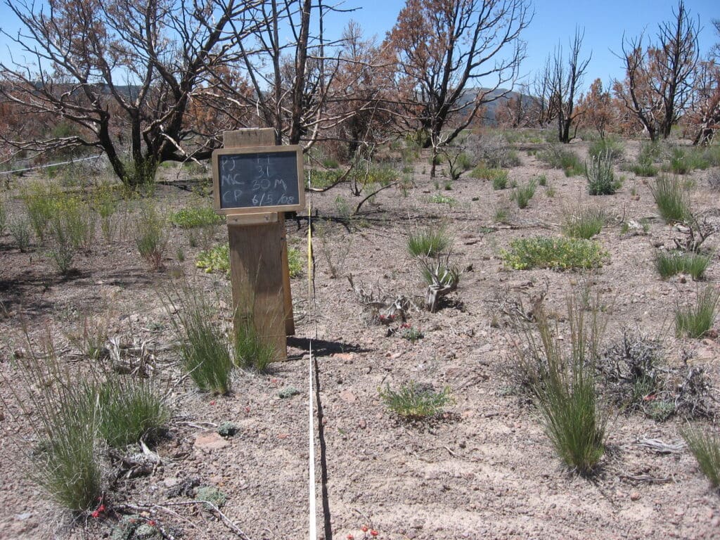 PJ_MC_CP_FI_31_T15_30M_08 2008: 2 years post-treatment