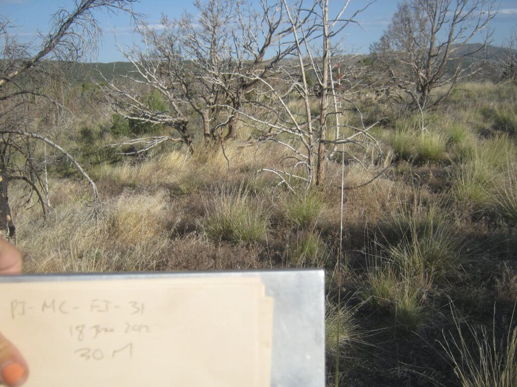 PJ_MC_CP_FI_31_T15_30M_12 2012: 6 years post-treatment