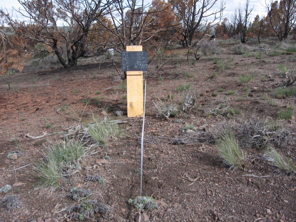 PJ_MC_CP_FI_31_T15_30M_7 2007: 1 year post-treatment